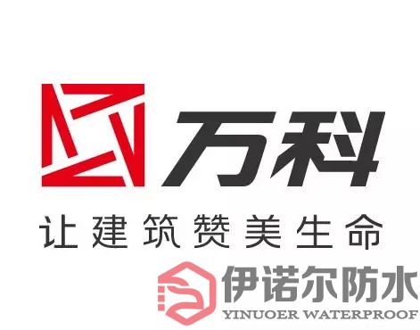 上海合作伙伴