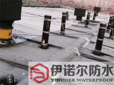 南京吳中口碑好的防水公司公司推薦保質保量